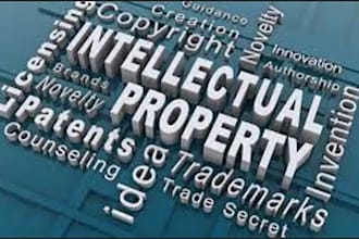 be intellectual property trademark, patent registration and infringement lawyer