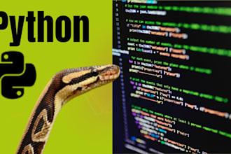 teach your python, django, react js websites developer