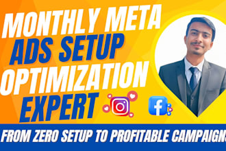 do monthly meta ads setup and monitorization