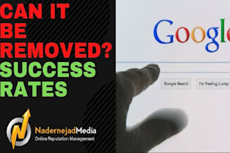 permanently remove your negative links, bad article, court case records in 2days