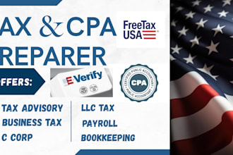 provide US tax advisory to llc foreign owners