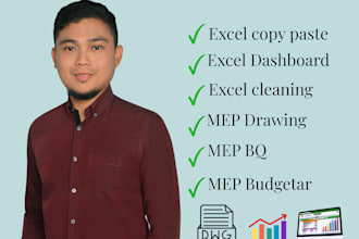 do perfect data entry and mep quantity surveyor works