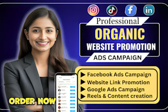 do organic website promotion, amazon, ebay, etsy or shopify store link promotion
