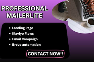 mailerlite email marketing automation klaviyo flows landing page