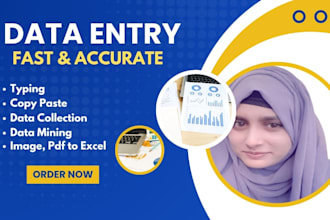 do perfect data entry, copy paste, typing, pdf to excel