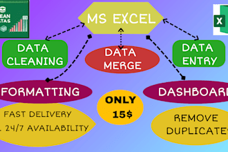 clean excel data, format, dashboard, merge, data entry