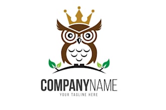 design high quality export owl fox logo with express delivery