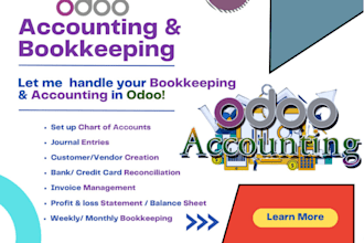 oddo erp books accounts