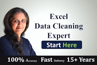 do professional excel data cleaning and formatting