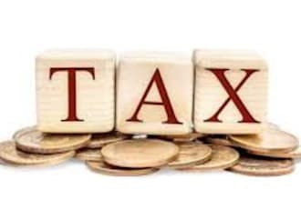 minimize your US  tax filings 1040, 1065, 1120 returns