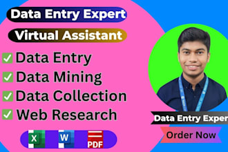 do fast data entry, data mining, data collection, web research