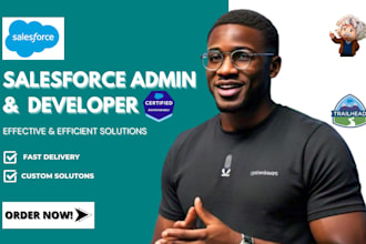 be salesforce admin salesforce developer crm  setup salesforce pardot lightning