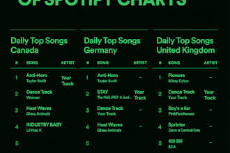 promote your spotify track spotify foll0wers for spotify ads to top music chart