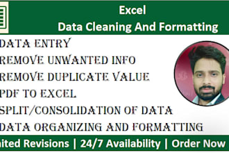handle your excel data entry and cleanup tasks