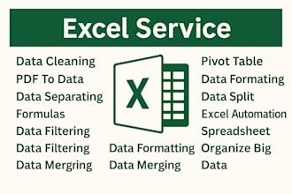 do ms excel data cleaning, scrapping, pivot table and vba chart