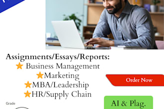 create professional business marketing, strategic management and HR plans