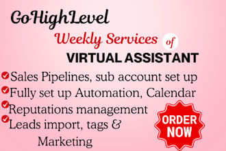 gohighlevel virtual assistant, quiz workflow automation sales, clone ghl website