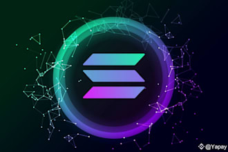 scrape all data and transactions linked to solana wallet
