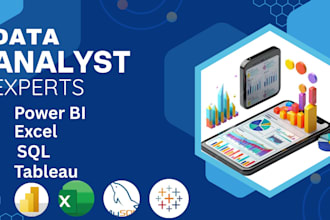 expert data analyst  clean analyze and  visualize your data