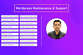 maintain wordpress website monthly
