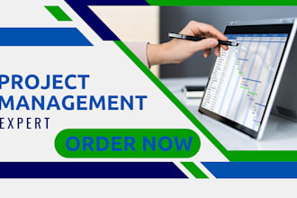 write a professional new project manager, resume, resume review
