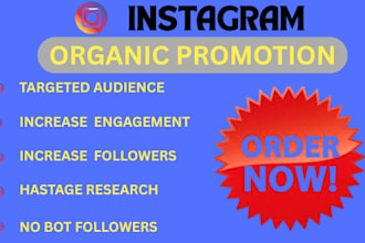 do organic instagram growth, increase followers, instagram promotion