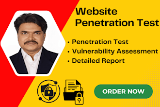 perform vulnerability and penetration test for website professionally