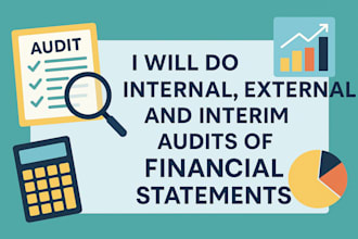 do internal, external and interim audits of financial statements