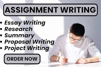 do your assignment project work summary essay writing for college and university