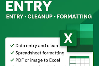 perform accurate excel data entry, cleanup, and formatting