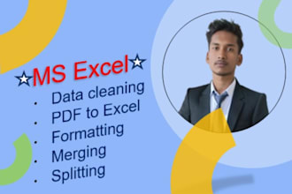 data cleaning, data entry, reporting, formatting, pdf to excel, merge, splitting