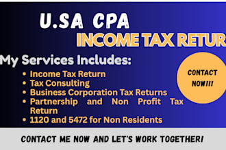 prepare USA personal and business income tax returns