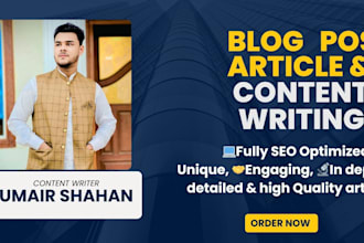 seo article writing and blog post writing for your website