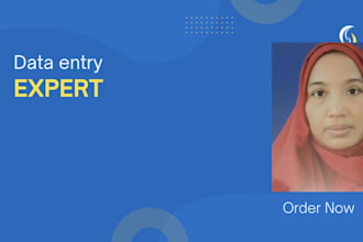 do data entry, convert data insert data, typing, retyping