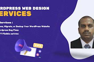 provide excellent wordpress website support and maintenance