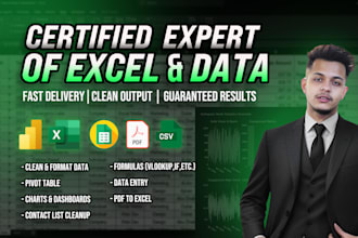 do excel charts, pivot tables, graphs, data cleaning, PDF to excel and KPI