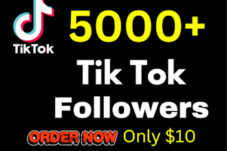 grow your tiktok fast with expert promotion engagement
