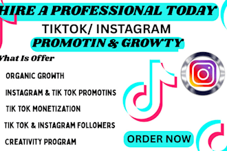 grow tiktok, instagram organic followers instagram promotion tiktok monetization
