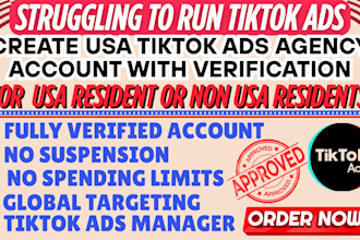 usa tiktok ads agency account tik tok ads manager for non US non residents