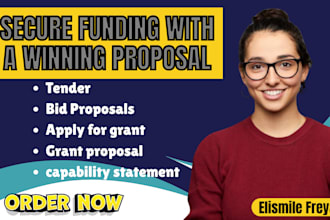 do bid proposal government capability personal statement government contract