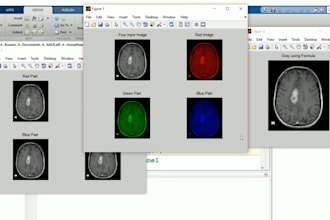 do matlab programming,image processing and simulink