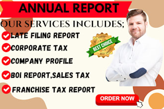 file, reinstate annual report for US llc, coporation, boi report