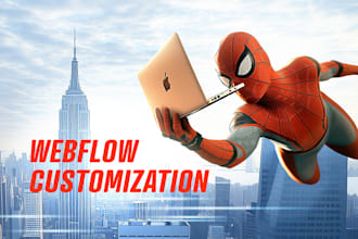 update and customize your webflow website