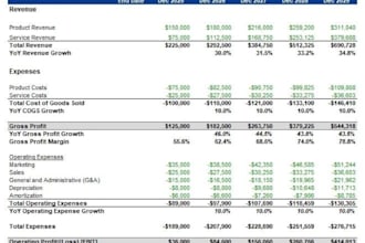help you with financial modeling, analysis, and reporting