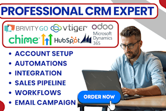 do ghl brivity vtiger crm chime microsoft dynamics 365 odoo hubspot integration