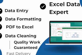 clean, format, merge, split excel data