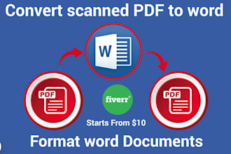 convert PDF to word, google docs, ms docx, typing services