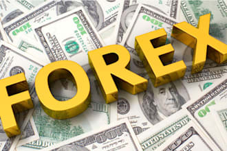 provide you forex, crypto and investors leads from worldwide