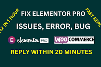 fix elementor pro issues, errors, bugs in 1 hour