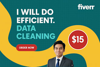 do efficient data cleaning